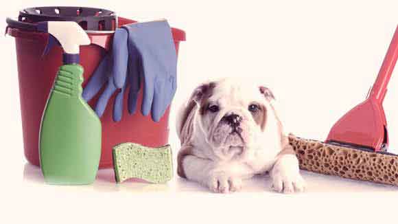 Cleaning Supplies