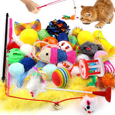 Cat Toys