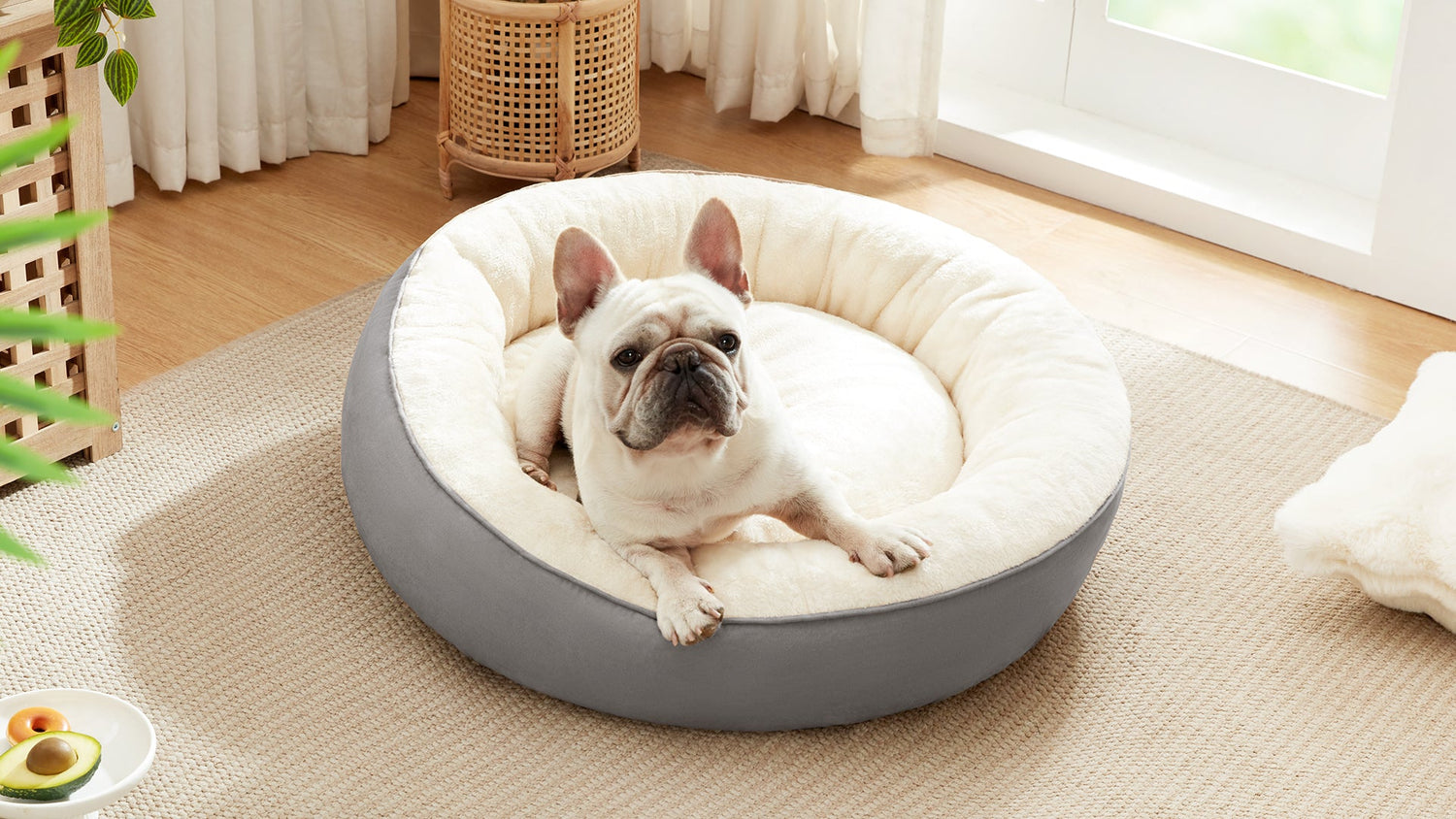 Beds And Blankets