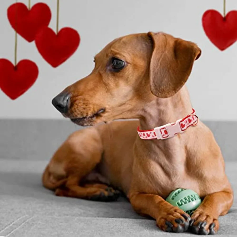Valentine's Day Dog Collar and Leash Set Adjustable Pink Dog Collar with Glittery Pink Heart Pattern Matching Leash Valentines