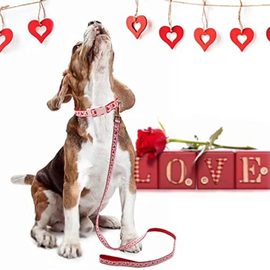 Valentine's Day Dog Collar and Leash Set Adjustable Pink Dog Collar with Glittery Pink Heart Pattern Matching Leash Valentines